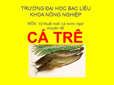 Bài giảng Kỹ thuật nuôi cá nước ngọt - Chuyên đề: Cá trê