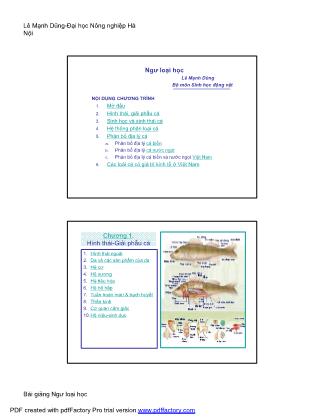 Bài giảng Ngư loại học - Chương 1: Hình thái - giải phẫu cá