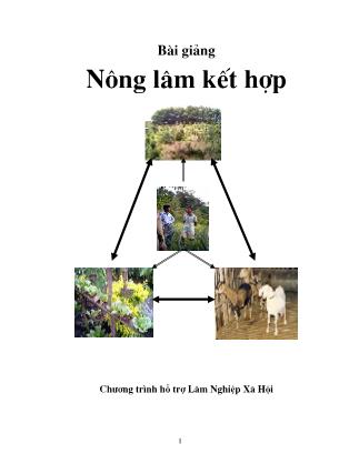 Bài giảng Nông lâm kết hợp - Nguyễn Văn Sở