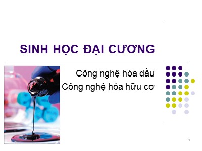 Bài giảng Sinh học đại cương - Công nghệ hóa dầu. Công nghệ hóa hữu cơ