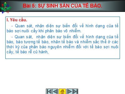 Bài giảng Sinh học Lớp 12 - Bài 5: Sự sinh sản của tế bào