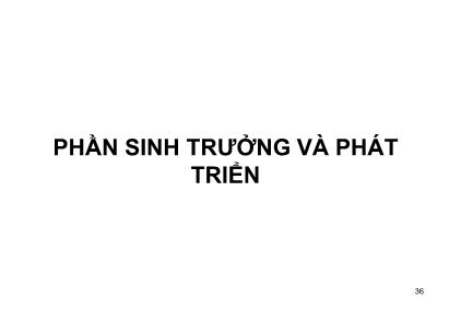 Bài giảng Sinh trường và phát triển