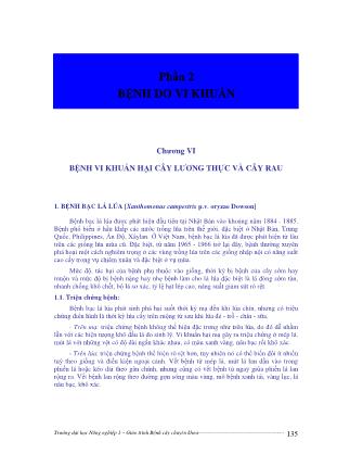 Giáo trình Bệnh cây chuyên khoa (Phần 2)