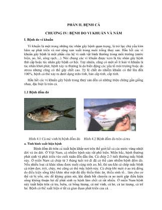 Giáo trình Thuốc trong nuôi trồng thuỷ sản (Phần 2)