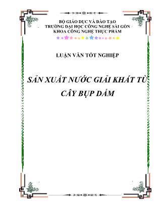 Luận văn Sản xuất nước giải khát từ cây bụp dấm