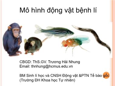 Mô hình động vật bệnh lý - Trương Hải Nhung