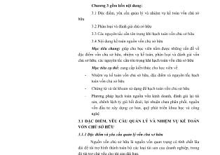 Tài liệu Kế toán tài chính II (Phần 2)