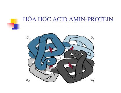 Bài giảng Hóa học Acid Amin-Protein