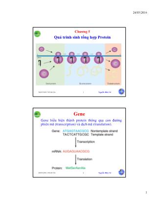 Bài giảng Sinh học phân tử - Chương 5: Quá trình sinh tổng hợp protein