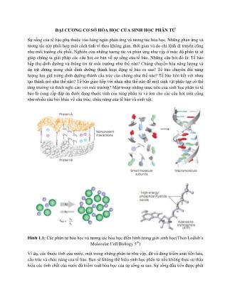 Đại cương cơ sở hóa học của sinh học phân tử