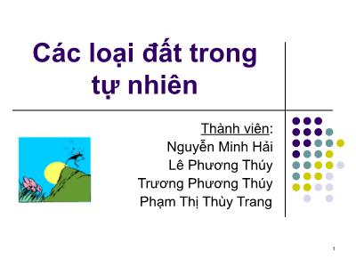 Bài giảng Các loại đất trong tự nhiên - Nguyễn Minh Hải