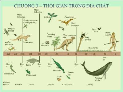 Bài giảng Địa chất đại cương - Chương 3: Thời gian trong địa chất
