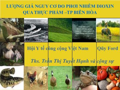 Bài giảng Lượng giá nguy cơ do phơi nhiễm dioxin qua thực phẩm - Trần Thị Tuyết Hạnh