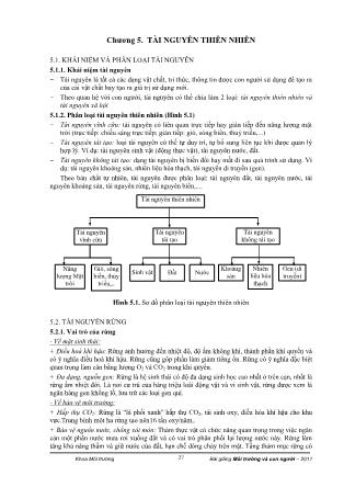 Bài giảng Môi trường và con người (Phần 2)