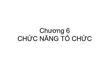 Bài giảng Quản trị học - Chương 6: Chức năng tổ chức