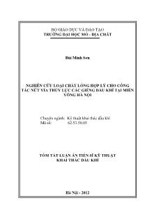 Tóm tắt lận án Nghiên cứu loại chất lỏng hợp lý cho công tác nứt vỉa thủy lực các giếng dầu khí tại miền võng hà nội